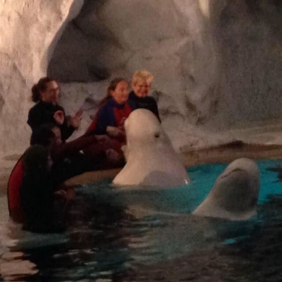 Meet your Posher, Cynthia - Picture 1 of 1